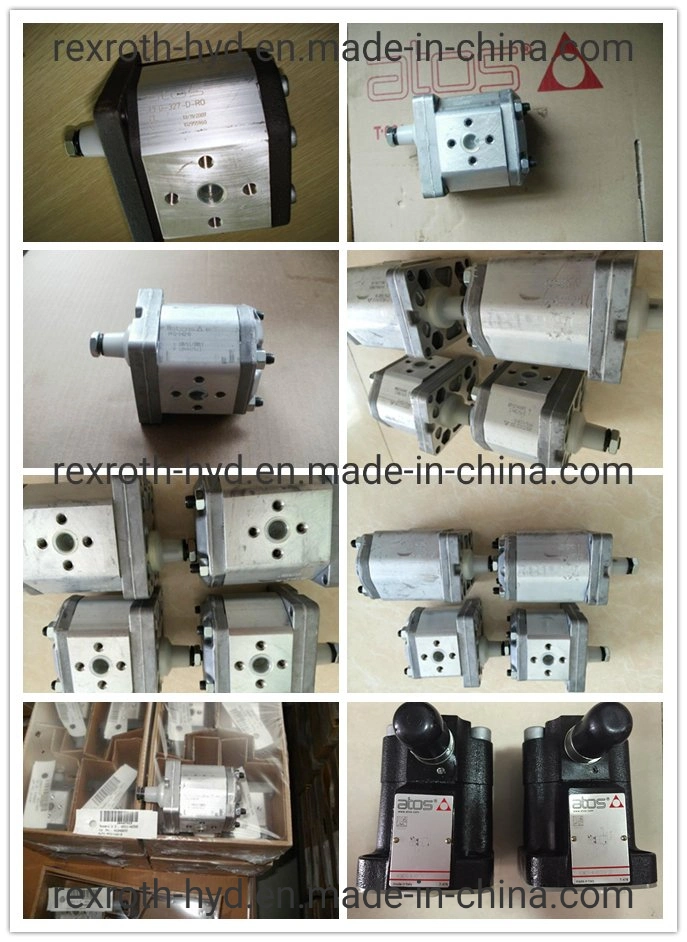 Atos Hydraulic Pump/Hydraulic Valve/Piston Pump/Control Valve/Solenoid Valve Coil/Gear Pump/Proportional Valve/Vane Pump Pvw Pvpc Pfed Pm Pvt Dph