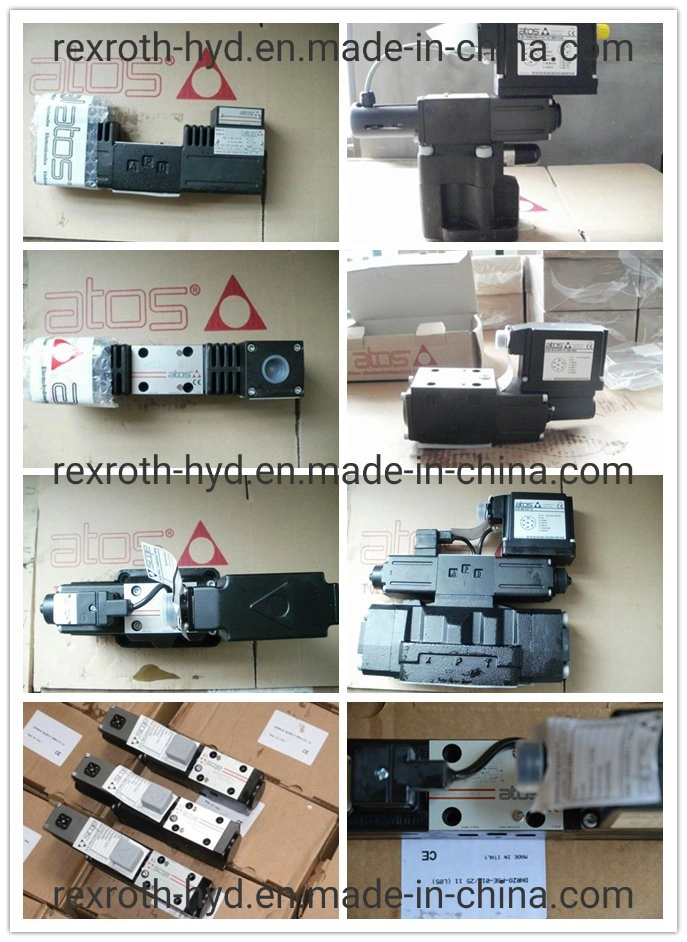 Atos Hydraulic Pump/Hydraulic Valve/Piston Pump/Control Valve/Solenoid Valve Coil/Gear Pump/Proportional Valve/Vane Pump Pvw Pvpc Pfed Pm Pvt Dph