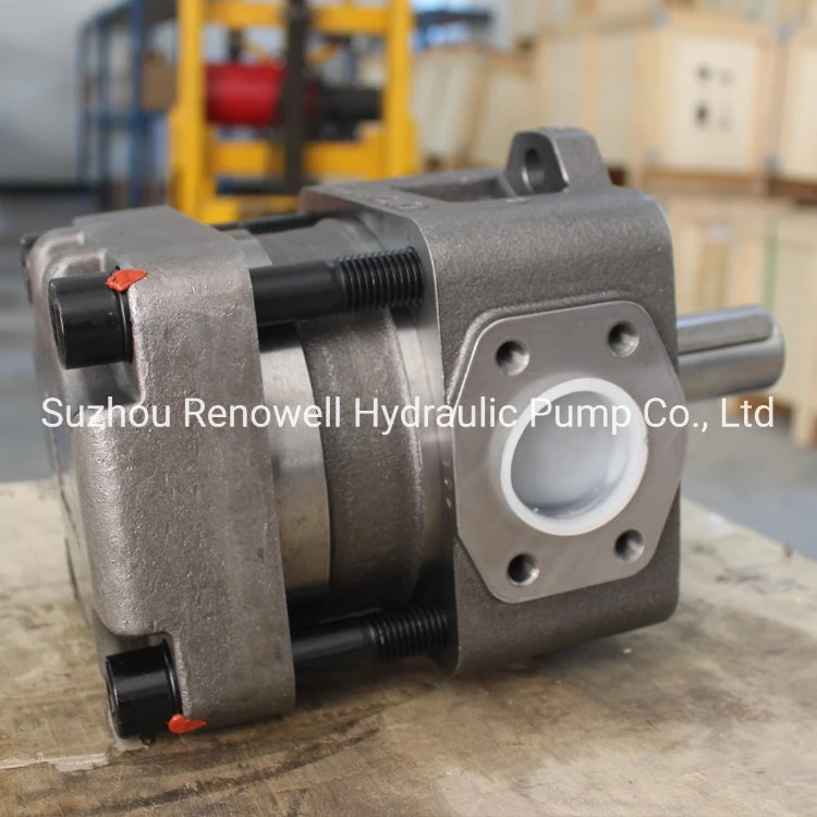 Qt53-40 Qt53-50 Qt53-63 Qt63-80 Qt63-100 Qt63-125, Sumitomo Qt Hydraulic Inner Internal Gear Pump