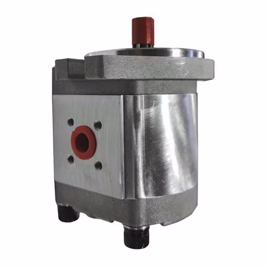 Bomba hidráulica de la serie de bombas de engranajes de hierro fundido Parker Pg