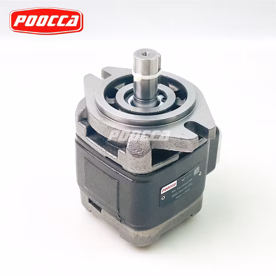 Fabricación Sunny Rexroth Reemplazo Hg0 Hg1 Hg2 Pgh2 Pgh3 Pgh4 Pgh Serie Bomba hidráulica de engranajes internos
