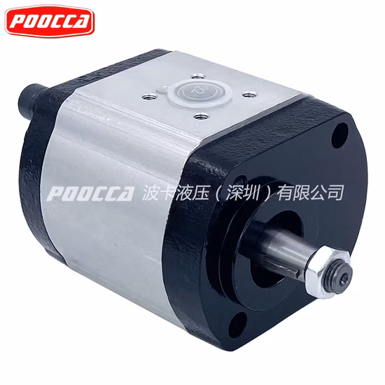 Bomba de engranajes hidráulica Rexroth Azpf-LCP Azpf-11-019lnl 0510725167 Azpg-22-032rcb20MB Azpg Azpn Azpf Bomba de engranajes de aceite externa hidráulica