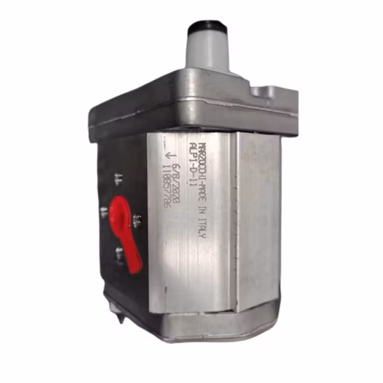 Bomba de engranajes Marzocchi Original de Italia Alpc2a-D-20/20-S2-Fg-Fg Ghp2alm